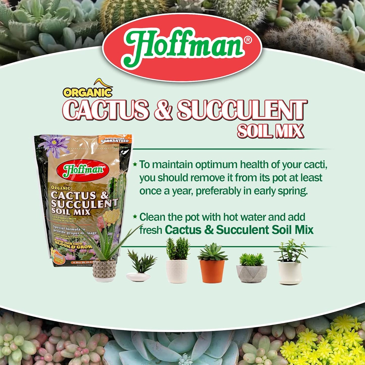 10404 Organic Cactus and Succulent Soil Mix, 4 Quarts, Brown/A